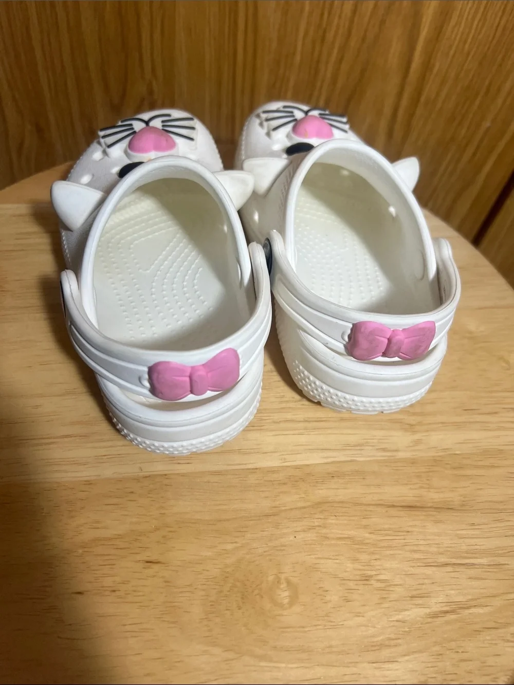 CROCS playful cat